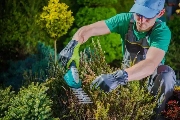 landscaping services Pine Bush